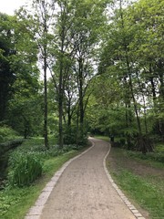 Fototapeta na wymiar Chemin sous la végétation luxuriante du parc de la Héronnière à Watermael-Boitsfort 