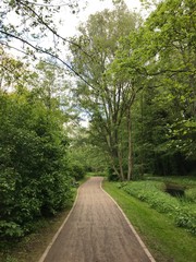 Fototapeta na wymiar Chemin sous la végétation luxuriante du parc de la Héronnière à Watermael-Boitsfort 