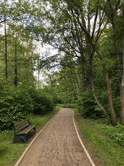 Chemin sous la végétation luxuriante du parc de la Héronnière à Watermael-Boitsfort 