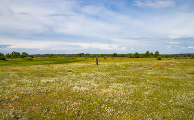 Fototapeta premium Treasure hunter in the field with a metal detector