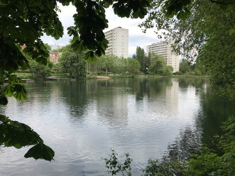 L'&eacute;tang des p&ecirc;cheries entour&eacute; de nature luxuriante au milieu d'une zone r&eacute;sidentielle au parc de la H&eacute;ronni&egrave;re &agrave; Watermael-Boitsfort 