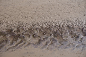 Full frame close up of empty sandy beach at low tide in Scarborough, Yorkshire, UK