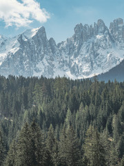 view of snowy mountain summit surrounded alpine forest