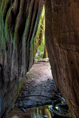 Dismal's Canyon, Alabama