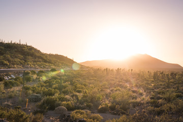 Sunset in the arizona desert with beautiful sun flares