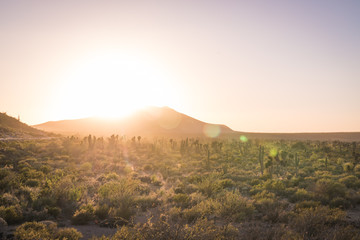 Beautiful landscape in the desert of Arizona with sun flare