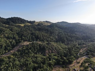 Aerial view of the verdant hills with trees in Napa Valley during summer season. Napa County, in California’s Wine Country, Part of the North Bay region of the San Francisco Bay Area. Vineyard area.