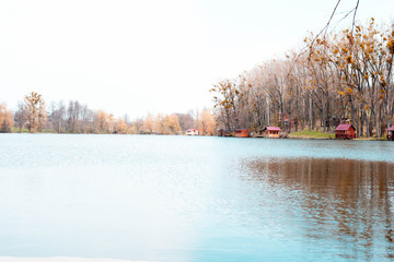 Wooden houses among the trees on the lake