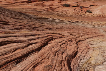 zion national park utah