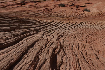 zion national park utah
