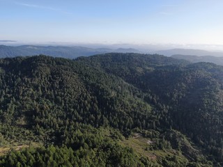 Aerial view of the verdant hills with trees in Napa Valley during summer season. Napa County, in California&rsquo;s Wine Country, Part of the North Bay region of the San Francisco Bay Area. Vineyard area.