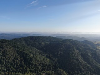 Aerial view of the verdant hills with trees in Napa Valley during summer season. Napa County, in California’s Wine Country, Part of the North Bay region of the San Francisco Bay Area. Vineyard area.