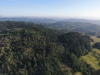 Obraz premium Aerial view of the verdant hills with trees in Napa Valley during summer season. Napa County, in California’s Wine Country, Part of the North Bay region of the San Francisco Bay Area. Vineyard area.