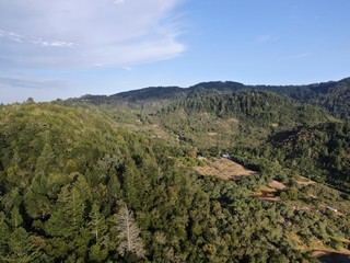 Aerial view of the verdant hills with trees in Napa Valley during summer season. Napa County, in California’s Wine Country, Part of the North Bay region of the San Francisco Bay Area. Vineyard area.