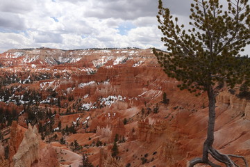 Bryce Canyon National Park, Utah