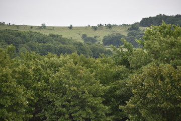 Fototapeta na wymiar View of Fields