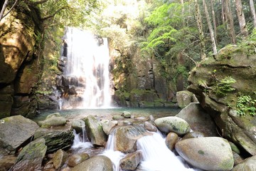 桑の木の滝