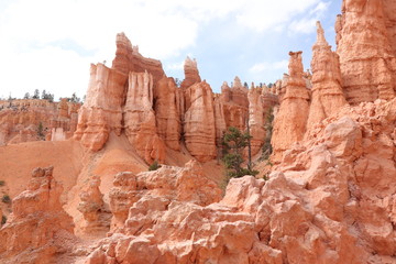 Fototapeta premium Road trip état unis , bryce canyon,utah