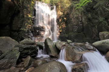 桑の木の滝