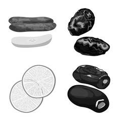 Isolated object of vitamin  and nature  icon. Set of vitamin  and dried  vector icon for stock.