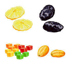 Isolated object of fruit and dried  logo. Set of fruit and food  stock symbol for web.