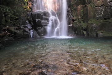 桑の木の滝