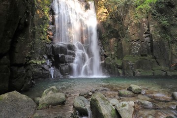 桑の木の滝