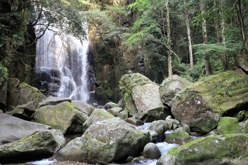 桑の木の滝