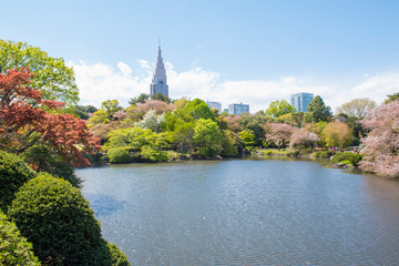 Fototapeta premium building in the park