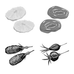 Vector design of vitamin  and nature  symbol. Set of vitamin  and dried  stock symbol for web.