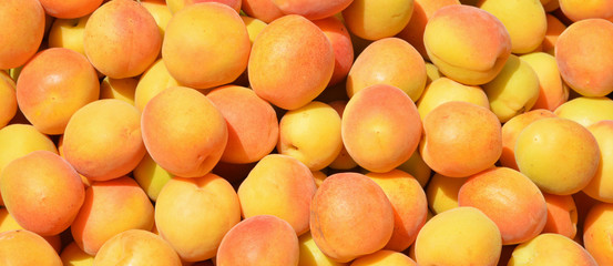 fresh apricots in the market and background