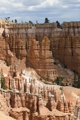 landscape on the bryce canyon in the united states of america