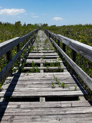 Weathered and Abandon Old Rustic Coastal Boardwalk Along the Coast of Florida's Atlantic Ocean