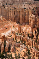 landscape on the bryce canyon in the united states of america