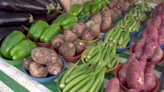 Selection of vegetables at brazilian free fair (Farmer Market) on the street: Corn, sweet potatoes, okra, yams, eggplant, and other vegetables.
