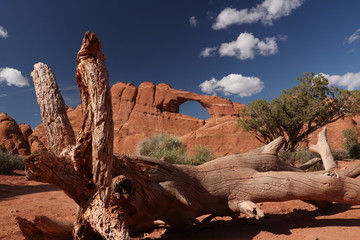 Arches National Park, Utah, USA