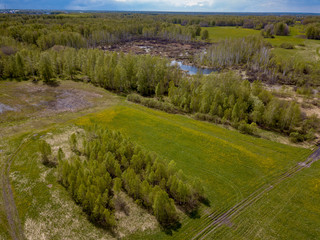Aerial view of a landscape with green trees and grass in marshland with a lake and water, yellow dandelions. Nature and environment, naturalness under blue sky with gray clouds