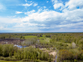 Aerial view of a landscape with green trees and grass in marshland with a lake and water, yellow dandelions. Nature and environment, naturalness under blue sky with gray clouds