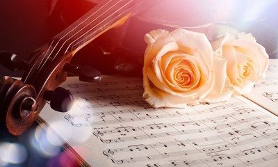 Violin with sheet music and white roses on black background