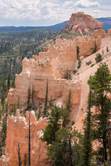 landscape on the bryce canyon in the united states of america