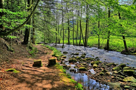 Eyach im Nordschwarzwald