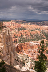 landscape on the bryce canyon in the united states of america