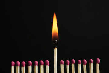 Burning match among others on black background. Difference and uniqueness concept