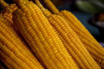 Corn