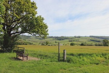 Scenic viewpoint in an English landscape in springtime. JPG