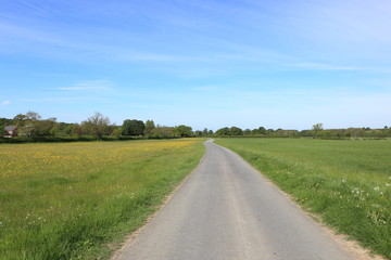 Country road through wildflower meadows in springtime. JPG