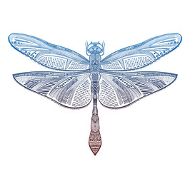 Art dragonfly vector illustration
