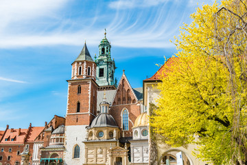 Fototapeta Wawel Royal Castle and cathedral in Krakow obraz