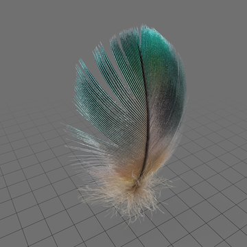 Green feather