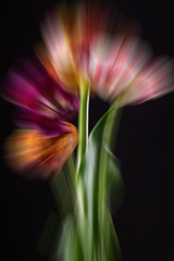 Abstract digital image of flower bouquet